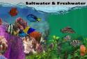 Fish Farm 2 screenshot 3