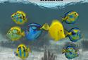Fish Farm 2 screenshot 9