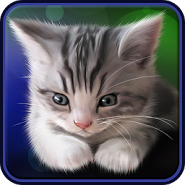 Sleepy Kitten Live Wallpaper