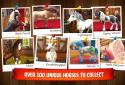 Horse Haven World Adventures screenshot 8
