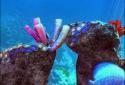 Tropical Ocean 3D LWP screenshot 3