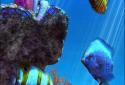 Tropical Ocean 3D LWP screenshot 7