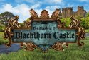 The Mystery of Blackthorn Castle screenshot 1