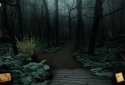 The Mystery of Blackthorn Castle screenshot 11