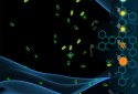 Vitalion Bacteria Evolution Li screenshot 3