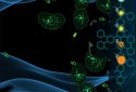 Vitalion Bacteria Evolution Li screenshot 4