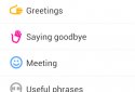 Phrasebook PRO (16 languages) screenshot 2