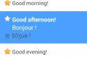 Phrasebook PRO (16 languages) screenshot 5