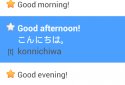 Phrasebook PRO (16 languages) screenshot 6