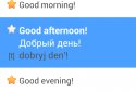 Phrasebook PRO (16 languages) screenshot 8