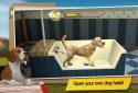 DogHotel Lite: My Dog Boarding screenshot 2