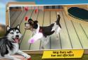 DogHotel Lite: My Dog Boarding screenshot 7