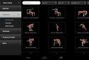 iMuscle 2 screenshot 13