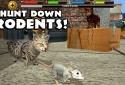 Stray Cat Simulator screenshot 12