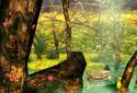 Ducks 3D Live Wallpaper FULL screenshot 14