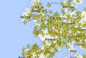 RadarBox24 Pro | Flight Radar screenshot 7