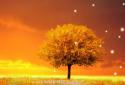 Awesome-Land Pro Live wallpaper screenshot 2