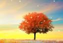 Awesome-Land Pro Live wallpaper screenshot 7