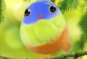 Cute Bird Live Wallpaper screenshot 1