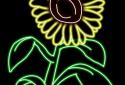 Glow Draw screenshot 4