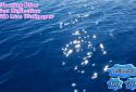 Floating Blue Sea Reflection screenshot 2