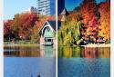 HDR FX Photo Editor Pro screenshot 15