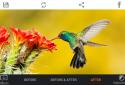 HDR FX Photo Editor Pro screenshot 2