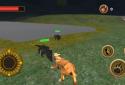 Puma Survival Simulator screenshot 7