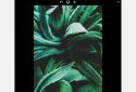 EyeEm - Camera & Photo Filter screenshot 16