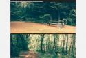 EyeEm - Camera & Photo Filter screenshot 2