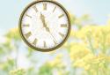 Widget Horloge Analogique screenshot 5