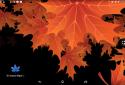 3D ??? Autumn Maple Leaves Free screenshot 2