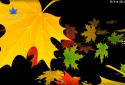 3D ??? Autumn Maple Leaves Free screenshot 3