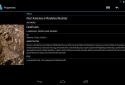 AlReader -any text book reader screenshot 21