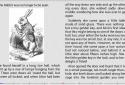 AlReader -any text book reader screenshot 5