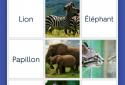 Quizlet: Learn Languages & Vocab with Flashcards screenshot 1