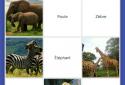 Quizlet: Learn Languages & Vocab with Flashcards screenshot 6