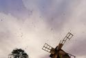 Old Windmill - Live Wallpaper screenshot 4 Old Windmill - Live Wallpaper screenshot 4