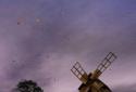Old Windmill - Live Wallpaper screenshot 5 Old Windmill - Live Wallpaper screenshot 5