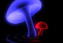 VA Magic Mushrooms 3D screenshot 2 VA Magic Mushrooms 3D screenshot 2