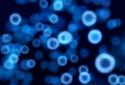 Neon Microcosm Live Wallpaper screenshot 1