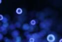 Neon Microcosm Live Wallpaper screenshot 3