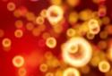Neon Microcosm Live Wallpaper screenshot 5