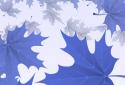 ???3D Maple Leaves Autumn Live Wallpaper Free screenshot 3 ???3D Maple Leaves Autumn Live Wallpaper Free screenshot 3