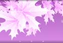 ???3D Maple Leaves Autumn Live Wallpaper Free screenshot 7 ???3D Maple Leaves Autumn Live Wallpaper Free screenshot 7