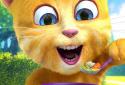 Talking Ginger 2 screenshot 4