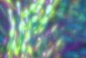 Electric Sheep Live Wallpaper screenshot 4 Electric Sheep Live Wallpaper screenshot 4