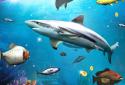 Fishing 3D screenshot 17