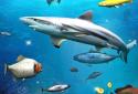 Fishing 3D screenshot 5