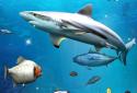 Fishing 3D screenshot 9